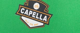 Sepeda anak-anak Capella - pro dan kontra, kiat pemilihan