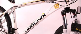 Sepeda Phoenix - pro dan kontra, kiat pemilihan