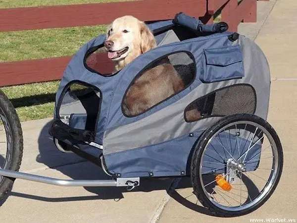 trailer sepeda untuk anjing